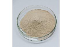 China Feed Grade Liquid Protease Enzyme Alkaline Protease 2.4L Customized Food Grade supplier