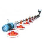Automatic Poultry Equipment Broiler Feeding And Drinking System Chicken Farm Equipment for sale