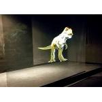Multifunctional Hologram Advertising Display Systems For Entertainment for sale