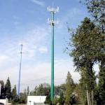 Telecom Mobile 5G Antenna Steel Tubular Pole 60m Hot Dip Galvanized for sale