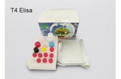 China Thyroxine T4 Elisa Diagnostic Kits Plasma Sample With 2 Standard Curve Ranges supplier