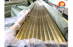China B111 C44300 Admiralty Brass Seamless Tube, Widely Used In Condenser And Heat Exchanger supplier