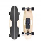 Adults Electric Longboard Deck Skateboard Remote Control Skateboard 700W Hub Motor for sale