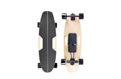 China Adults Electric Longboard Deck Skateboard Remote Control Skateboard 700W Hub Motor supplier