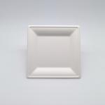 6/8/10 Inch Biodegradable Bagasse Tableware Square Plates For Party for sale