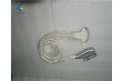 China 4C RS GYN Curved Array Transducer , GE Healthcare Ultrasound Probes supplier