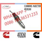 Common Rail Fuel Injector 4928260 4088725 1521978 1764365 4030346 4088660 4954434