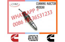 China Common Rail Fuel Injector 4928260 4088725 1521978 1764365 4030346 4088660 4954434 supplier
