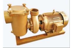 China BP30 Swimming Pool Water Pumps For Swimming Pool supplier