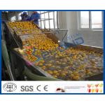 Stepless Shift Fruit And Vegetable Processing Device , Fruit And Vegetable Washer Machine for sale