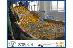 China Stepless Shift Fruit And Vegetable Processing Device , Fruit And Vegetable Washer Machine supplier