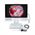 All In One HD Endoscopy Video Camera 15.6 Inch Monitor For ENT Laparoscopy Hysteroscopy Urology for sale