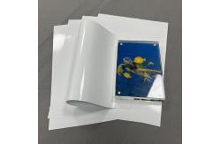China Free Sample 200gsm Glossy Printing A4/A3 Photo Paper For Epson Printer supplier