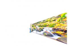 China Custom Direct To Wall Inkjet Printer Two Way Induction Up And Down supplier