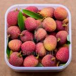 Stainless Steel Modified Atmosphere Packaging Machine For Fresh Litchi for sale