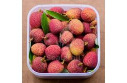 China Stainless Steel Modified Atmosphere Packaging Machine For Fresh Litchi supplier