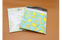 China Waterproof Recyclable LDPE 6x9 Inch Poly Bubble Mailers supplier