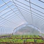 Plastic Agricultural Mulch Film Recyclable Allowing The Light Through