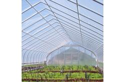 China Plastic Agricultural Mulch Film Recyclable Allowing The Light Through supplier