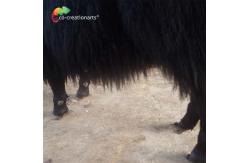 China Customized Lifelike Animatronics Robotic Animal Wild Yak Replications For Exhibition supplier