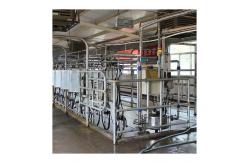 China Cow 60 points Herringbone Milking Parlor Automatic Clean supplier
