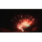 Chinese Pyrotechnics Customized Display Professional Cake Fireworks 1.3g 100 Shot for sale