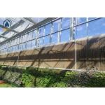 Large Size Glass Multi Span Greenhouse Structure Agricultural Tomato Farming Greenhouse