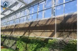 China Large Size Glass Multi Span Greenhouse Structure Agricultural Tomato Farming Greenhouse supplier