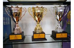China Custom Made Metal Trophy Cup , Sports Match Award Cups Trophies supplier