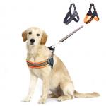Ready To Ship: Pets Leashes Sets Various Size Breathable  Nylon Leather Dog Collars XS-S-M-L Dog Leash for sale