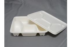 China 4 Compartment Biodegradable Sugarcane Plates supplier