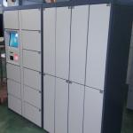 Metal Gym Storage Clothes Locker , 9 Door Steel Changing Room Dress Locker for sale