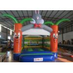 Bounce House With Slide 0.55mm Pvc Tarpaulin , Indoor Inflatable Bounce House for sale