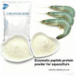 Bulk High Protein 85% Feed Additives Poultry Protein Supplement with OEM/ODM for sale