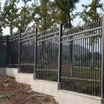 Easily Assembled 1.8m Height  Black  Metal Palisade Fencing Pvc Coated For Courtyard for sale