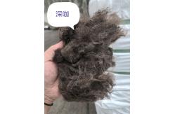 China Recycled Polyester Staple Fiber 3D 51mm Dark Coffee supplier