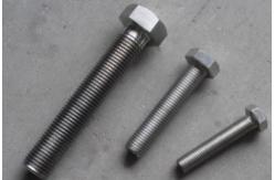 China incoloy 800 800h 800ht fasteners bolt nut gasket screw supplier