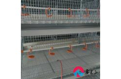 China EPS Insulation Livestock Farm House Modern With Aluminum Alloy Window supplier