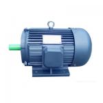 Custom Three Phase Permanent Magnet Synchronous Motor Variable Speed for sale