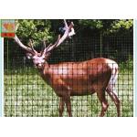 Strong Black Plastic Mesh, Deer Fence Netting, Deer Barrier, 1 Meter High, 50MM Hole Size for sale