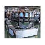 160g 16 Head Multihead Weigher Packing Machine for sale