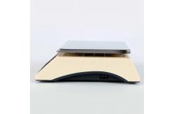 China Large Range And High Precision Electronic Weighing Scales Super Bright LED Display supplier