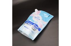 China 1L Detergent Angled Spout Pouch PET AL PE Laminate Leak Proof Wide Nozzle supplier