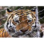 7x19 1.5mm Ss Rope Mesh 20 Years Tiger And Parrot Use Zoo for sale