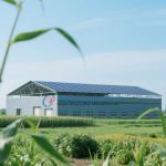 Pre Engineered Steel Structure Warehouse with Modern / Contemporary Aesthetics for sale