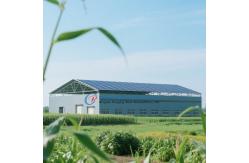 China Pre Engineered Steel Structure Warehouse with Modern / Contemporary Aesthetics supplier