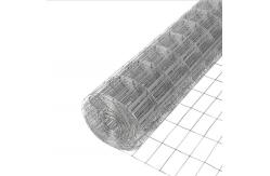 China Dia 22mm 23mm 24mm Galvanized Wire Mesh Panels Fence Rolls Acid Resistant supplier