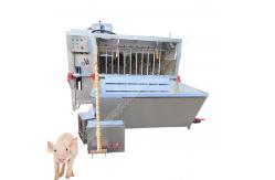 China Pig Slaughter Machine Pig Slaughter Line Pig Slaughter Pig Scalding And Dehairing Machine supplier