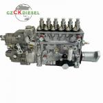 Fuel Injection Pump 106675-4651 For DH225-9 DH300-7 Excavator