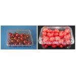 SS304 Plastic Box Packing Machine